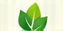 GreenLeaf Solutions logo