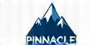 Pinnacle Retail Group logo